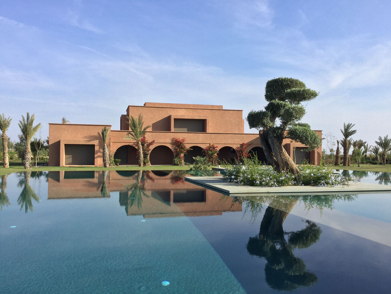 trees design in Marrakech