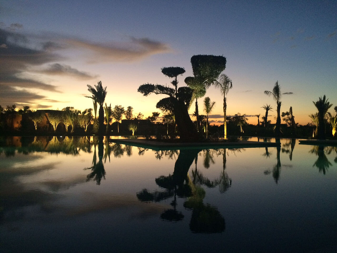 housing and gardens design in Marrakech