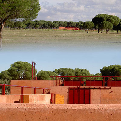 facilities design in Madrid